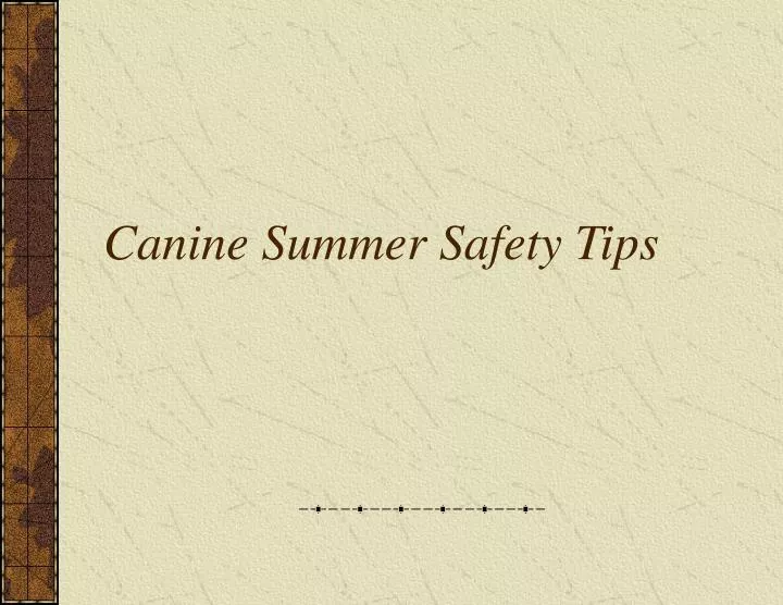 canine summer safety tips