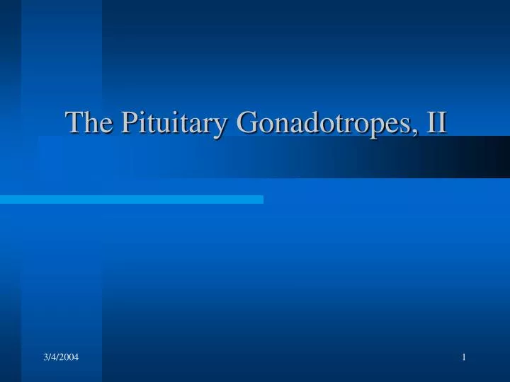 the pituitary gonadotropes ii