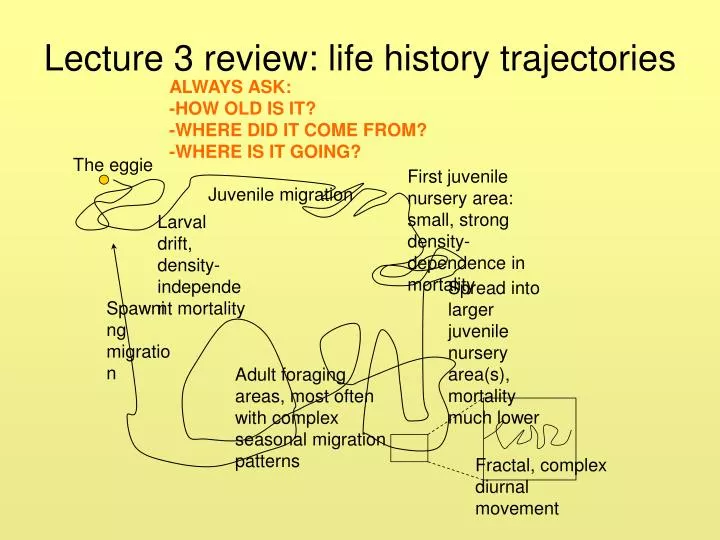lecture 3 review life history trajectories