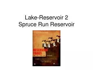 Lake-Reservoir 2 Spruce Run Reservoir