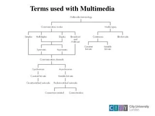 Terms used with Multimedia