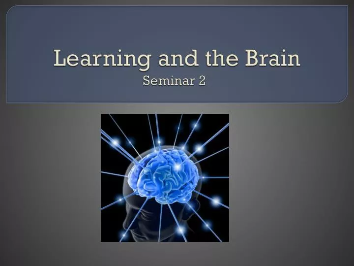 learning and the brain seminar 2