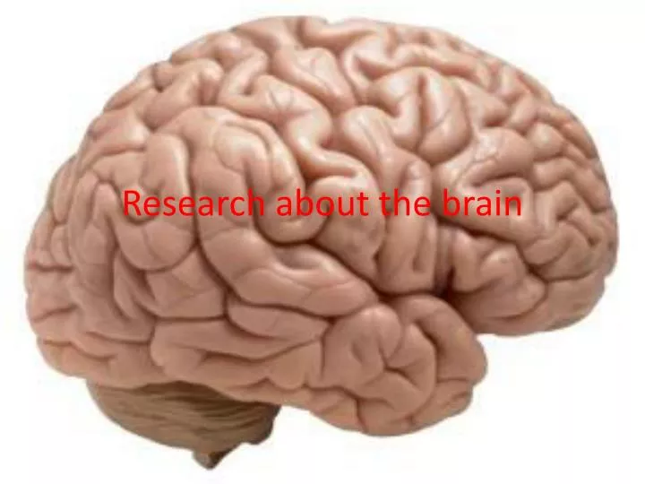 research about the brain