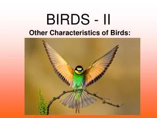 BIRDS - II