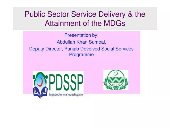 public sector service delivery the attainment of the mdgs