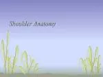 Shoulder Anatomy - slide 1
