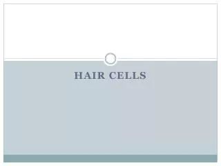 Hair Cells