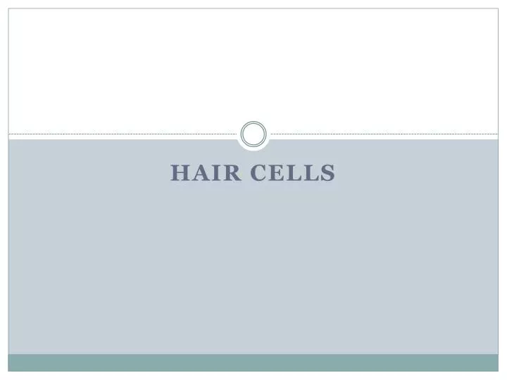 hair cells