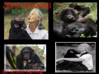 Jane Goodall