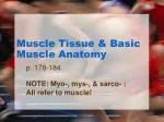 Muscle Tissue &amp; Basic Muscle Anatomy - slide 1