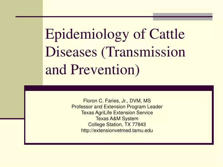 epidemiology of cattle diseases transmission and prevention
