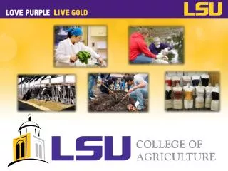 Louisiana State University Agricultural and Mechanical College
