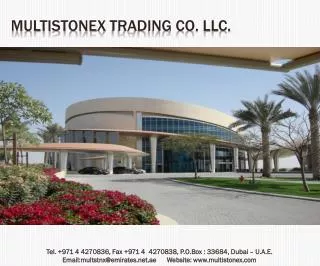 Multistonex Trading Co. LLC.