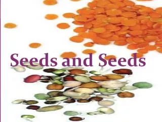 Seeds and Seeds