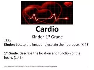 Cardio Kinder-1 st Grade