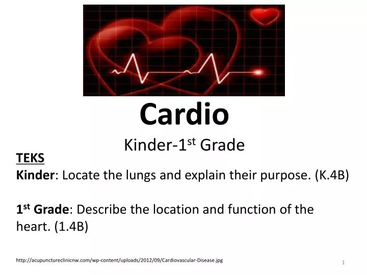 cardio kinder 1 st grade