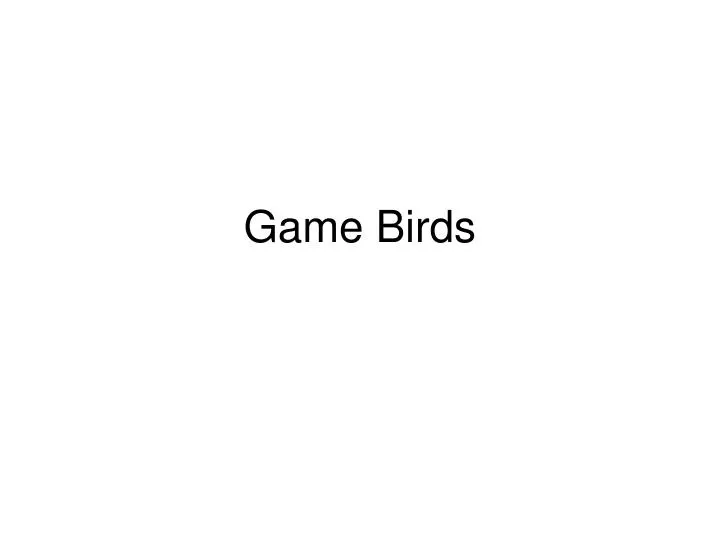 game birds