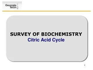 SURVEY OF BIOCHEMISTRY Citric Acid Cycle