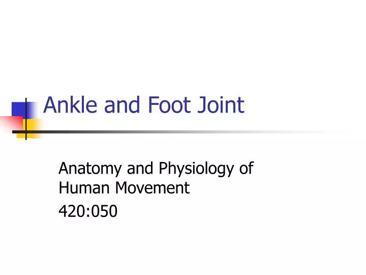 ankle and foot joint