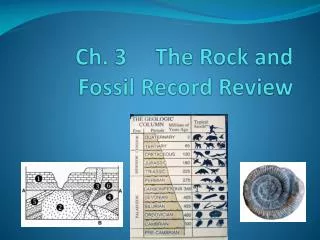 Ch. 3 The Rock and Fossil Record Review