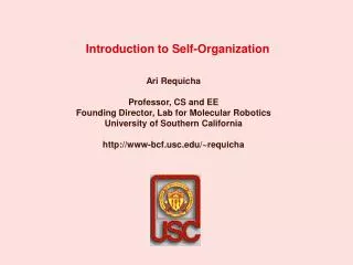 Introduction to Self-Organization