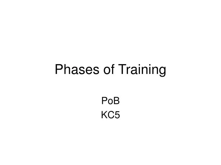 phases of training