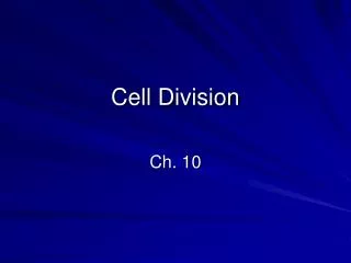 Cell Division