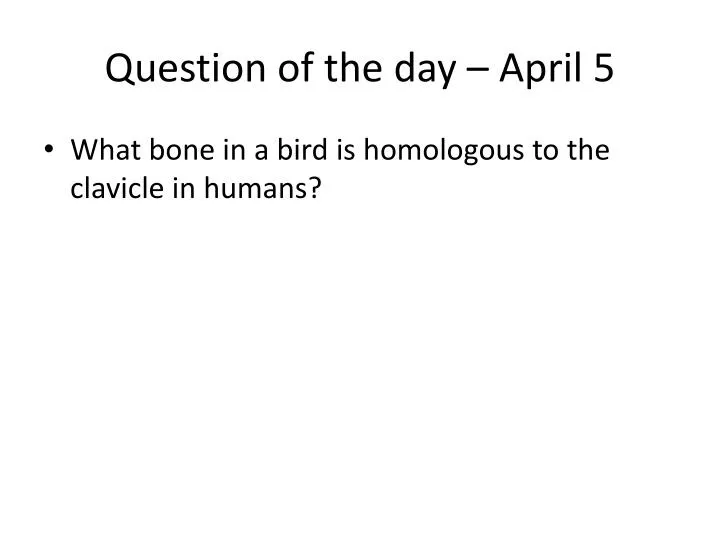question of the day april 5