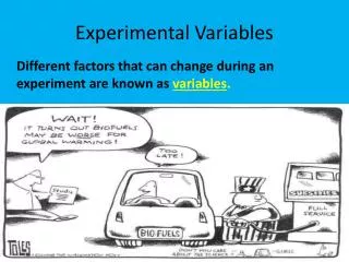 experimental variables