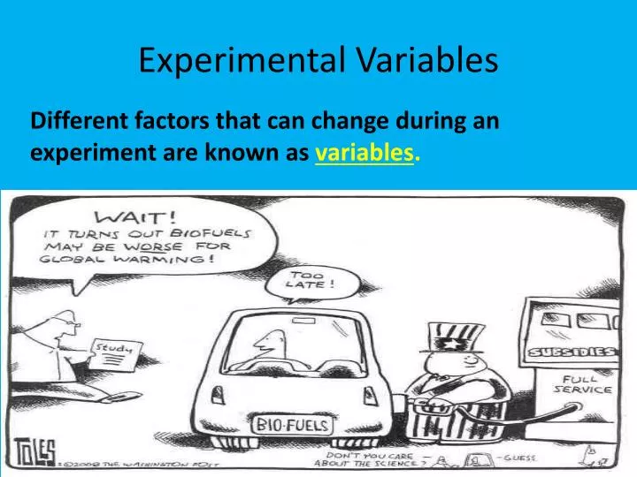 experimental variables