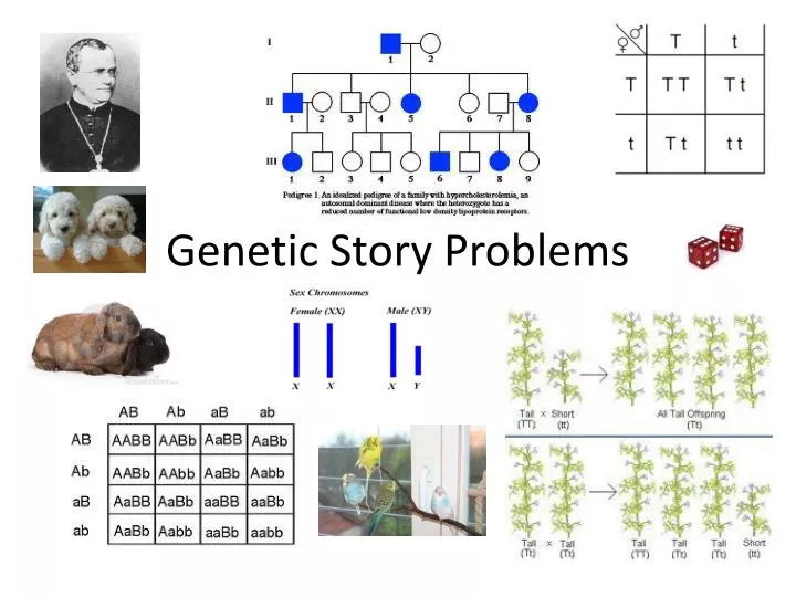 genetic story problems