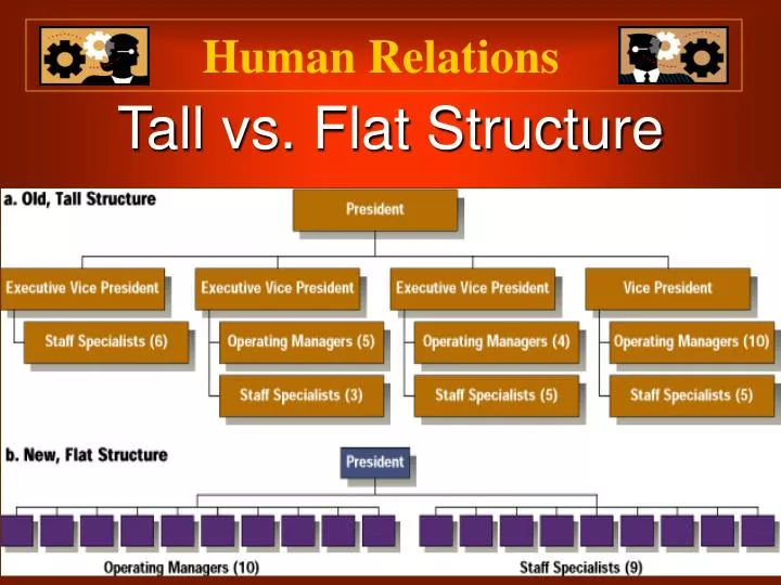 tall vs flat structure