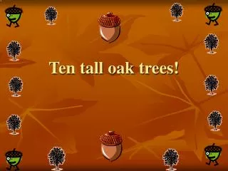 Ten tall oak trees!