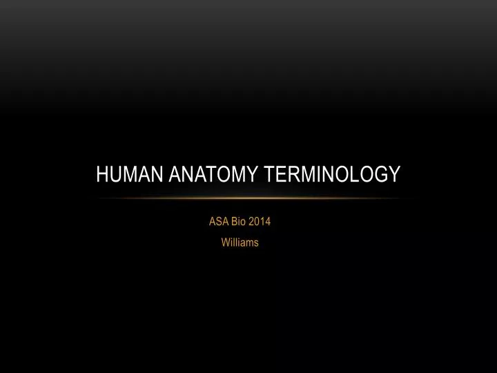 human anatomy terminology