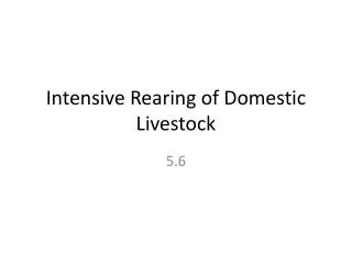 Intensive Rearing of Domestic Livestock