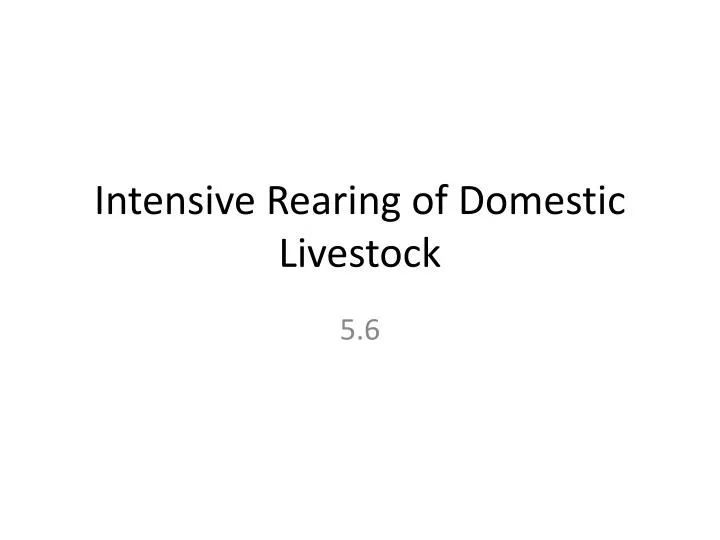 intensive rearing of domestic livestock