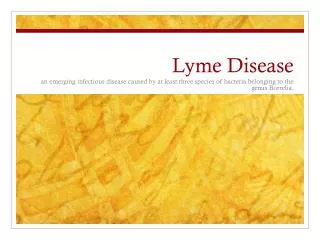 Lyme Disease