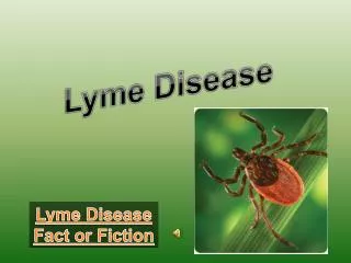 Lyme Disease