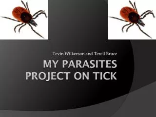 My Parasites project on Tick