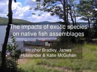 The impacts of exotic species on native fish assemblages