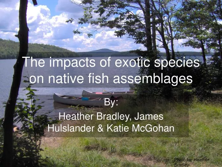 the impacts of exotic species on native fish assemblages