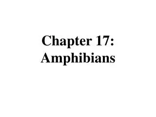 Chapter 17: Amphibians