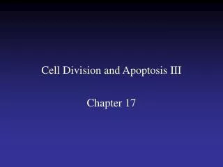 Cell Division and Apoptosis III