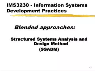 IMS3230 - Information Systems Development Practices