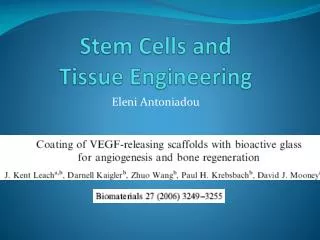 Stem Cells and Tissue Engineering