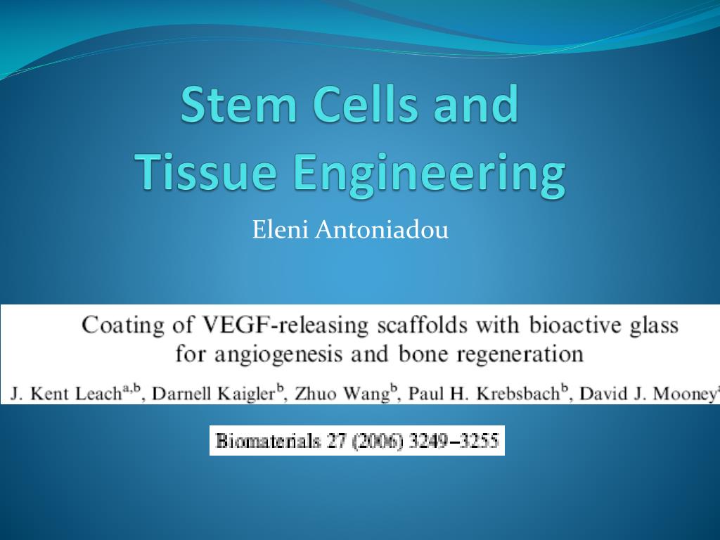 PPT - Stem Cells and Tissue Engineering PowerPoint Presentation, free ...