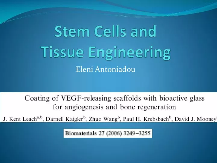 stem cells and tissue engineering