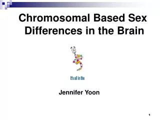 Chromosomal Based Sex Differences in the Brain