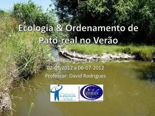 ecologia ordenamento de p ato real no ver o
