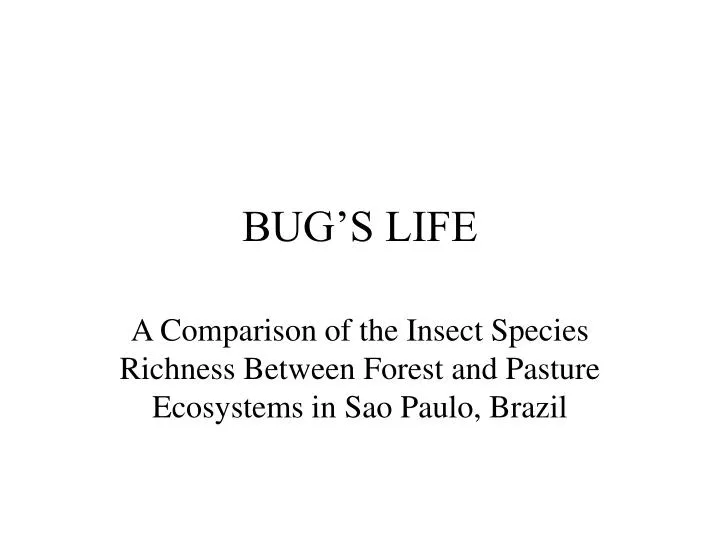 bug s life